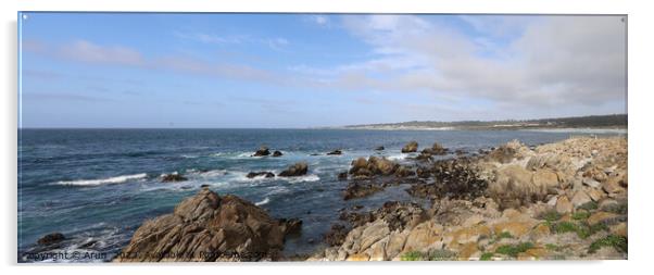 17 mile drive in Pebble beach, Monterey, California Acrylic by Arun 