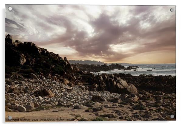 17 mile drive in Pebble beach, Monterey, California Acrylic by Arun 