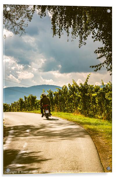 View from famous wine street in south styria, Austria. Acrylic by Przemek Iciak