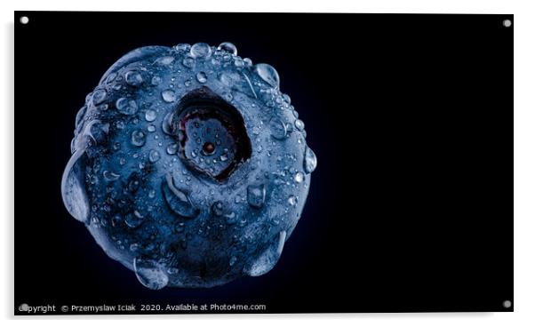 Macro shoot of blueberry against black background Acrylic by Przemek Iciak