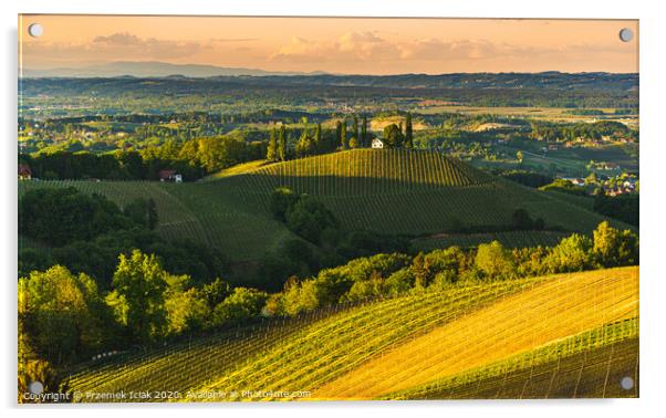 Sunset over South Styria vineyard landscape in Steiermark, Austria. Acrylic by Przemek Iciak