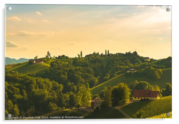 A Beautiful Sunset over a Styrian Vineyard in Austria Acrylic by Przemek Iciak