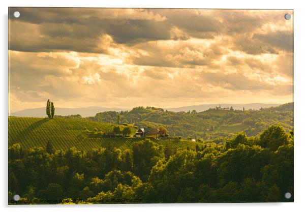 Gamlitz town in Austria Vineyards in Sulztal area south Styria, famous wine country. Acrylic by Przemek Iciak