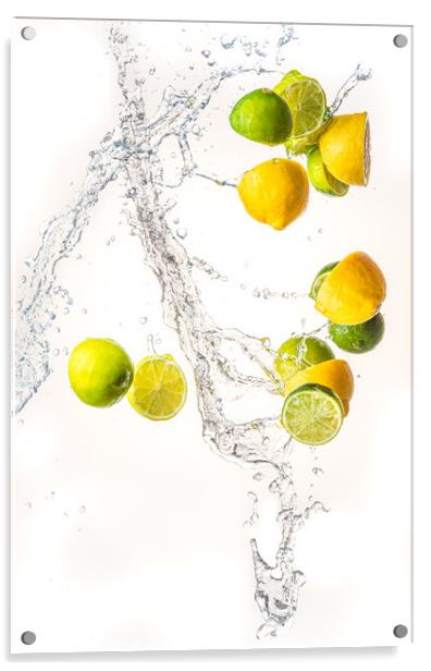 Fresh limes and lemons with water splash in midair, isolated on white background Acrylic by Przemek Iciak
