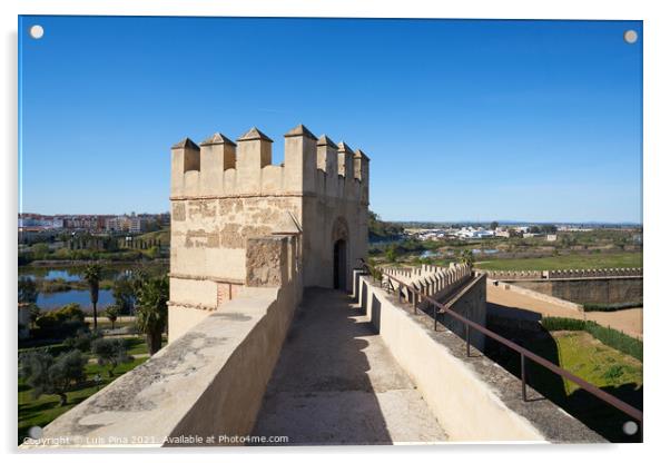 Badajoz beautiful arabic castle with garden in Spain Acrylic by Luis Pina