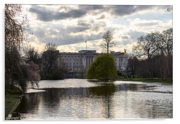 Buckingham Palace and St James Park in London, England Acrylic by Luis Pina