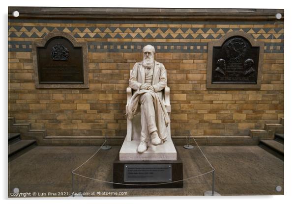 Charles Darwin statue in Natural history museum in London, England Acrylic by Luis Pina