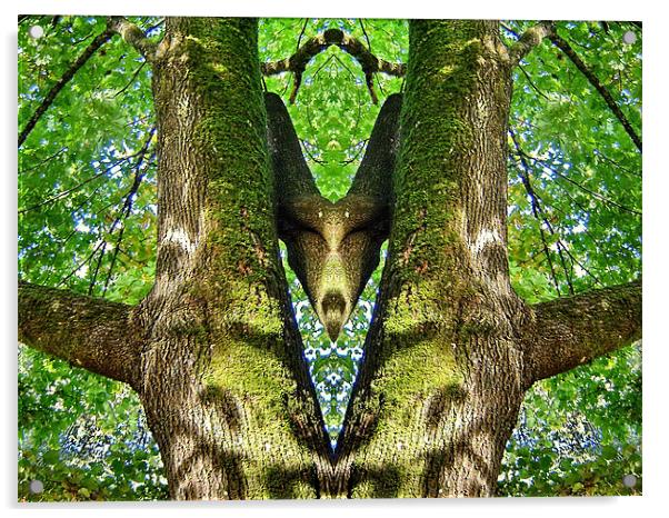 Forest Greeting  Acrylic by Jane Tripp