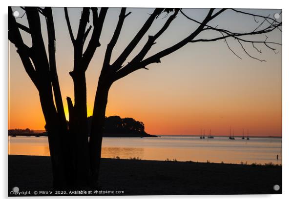 Morning sunrise on the beach with tree Acrylic by Miro V