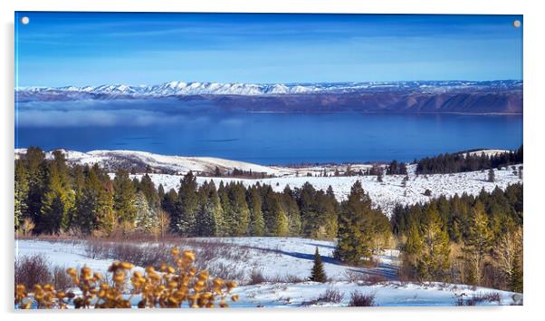 A Bear Lake Winter Acrylic by BRADLEY MORRIS