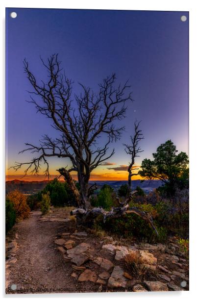 A Durango Sunset Acrylic by BRADLEY MORRIS