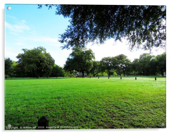 Texas City Park with Brazos River Running Through Acrylic by William Jell