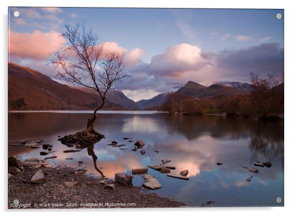 Lonely Tree & Llyn Padarn. Acrylic by mark baker