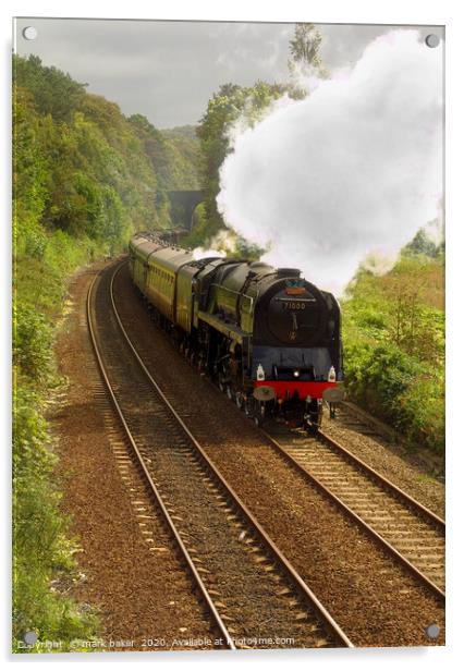 Duke of Gloucester passing Conway. Acrylic by mark baker