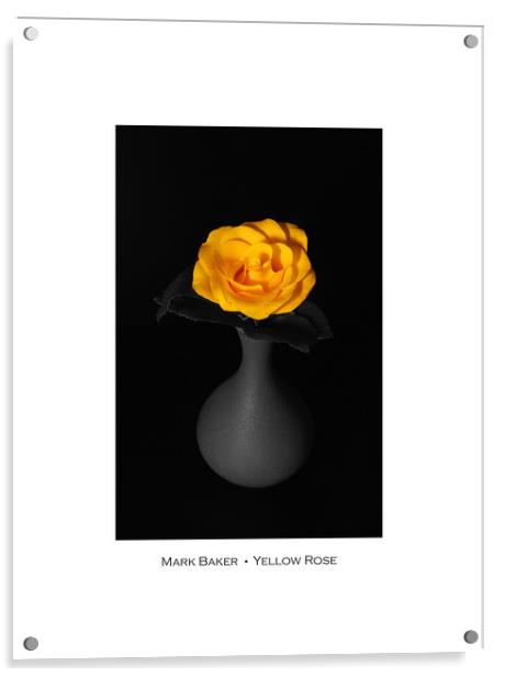 Yellow Rose. Acrylic by mark baker