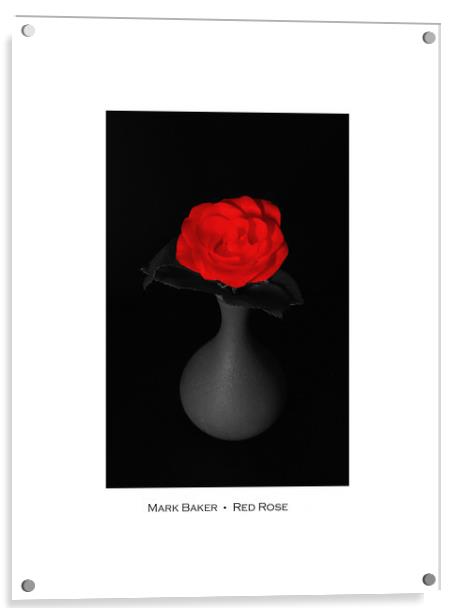  Red Rose. Acrylic by mark baker