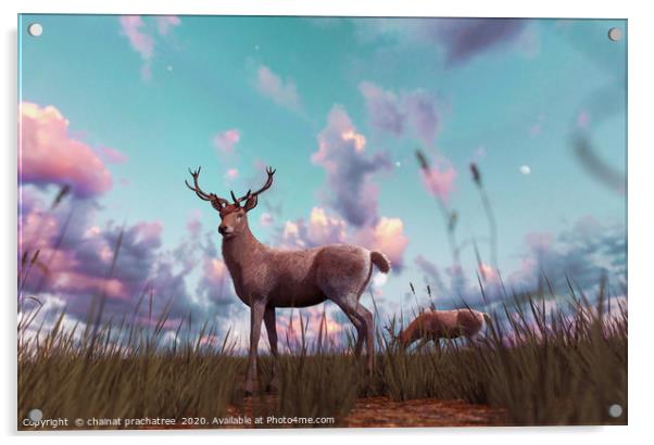 Deer in grass field at sunset or sunrise,3d illust Acrylic by chainat prachatree