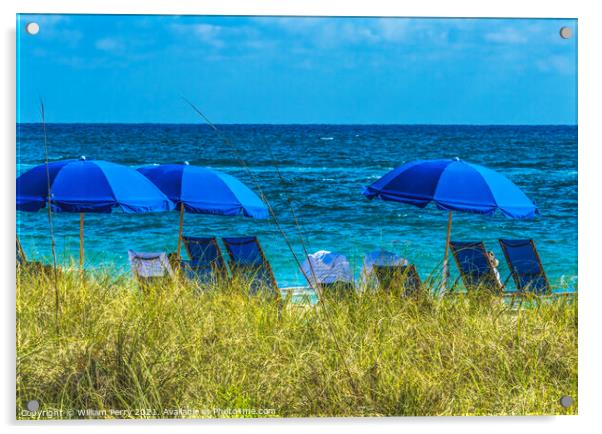 Bue Umbrellas Beach Bathers Blue Ocean Fort Lauderdale Florida Acrylic by William Perry