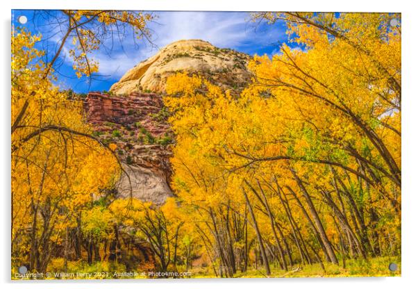 Yellow Cottonwood Trees White Rock Mountain Canyonlands Needles  Acrylic by William Perry