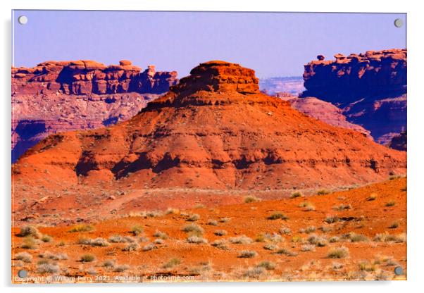 Colorful Orange Canyon Rock Formation Mexican Hat Monument Valle Acrylic by William Perry