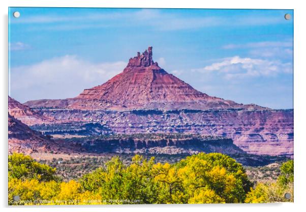 Pink Butte Yellow Cottonwood Trees Canyonlands Needles Utah Acrylic by William Perry