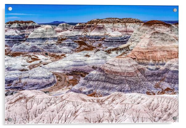 Painted Desert Blue Mesa Petrified Forest National Park Arizona Acrylic by William Perry