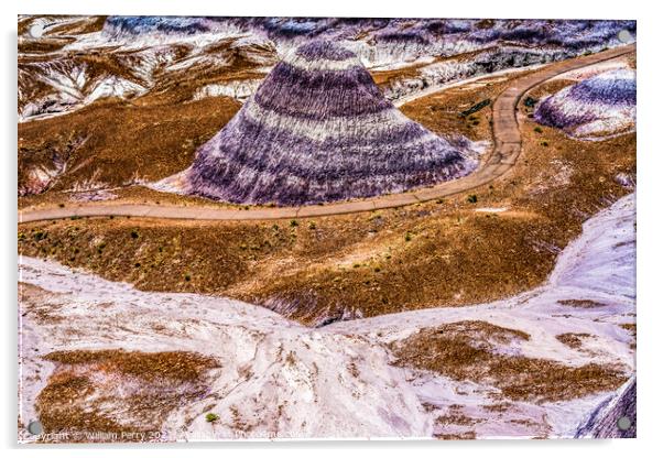 Purple Mountain Painted Desert Petrified Forest National Park Ar Acrylic by William Perry
