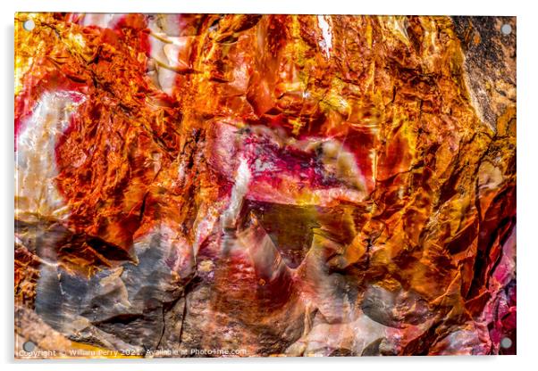 Petrified Wood Rock Abstract National Park Arizona Acrylic by William Perry