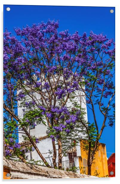 Colorful Buildings Jacaranda Flowers Santa Cruz Garden District  Acrylic by William Perry