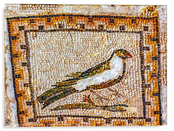 Colorful Ancient Bird Mosaic Italica Roman City Seville Andalusi Acrylic by William Perry