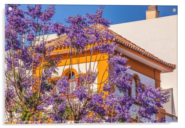 Colorful Jacaranda Flowers Yellow White Buildings Seville Spain Acrylic by William Perry
