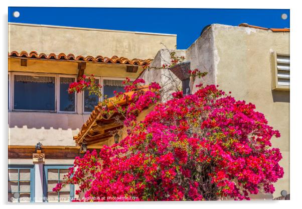 Pink Bougainvillea Old Town San Diego California  Acrylic by William Perry