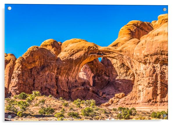 Delicate Arch Rock Canyon Arches National Park Moab Utah  Acrylic by William Perry