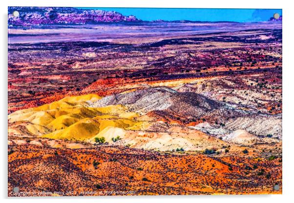 Painted Desert Orange Grass Sandstone White Sand Arches National Acrylic by William Perry