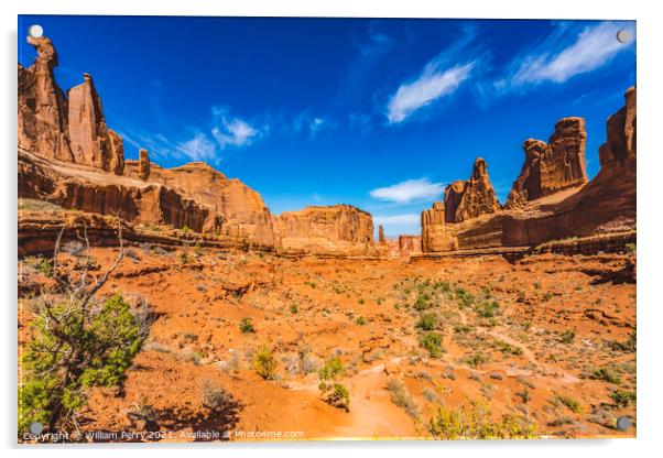 Park Avenue Section Arches National Park Moab Utah  Acrylic by William Perry