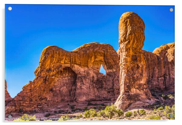 Parade of Elephants Rock Canyon Windows Section Arches National  Acrylic by William Perry