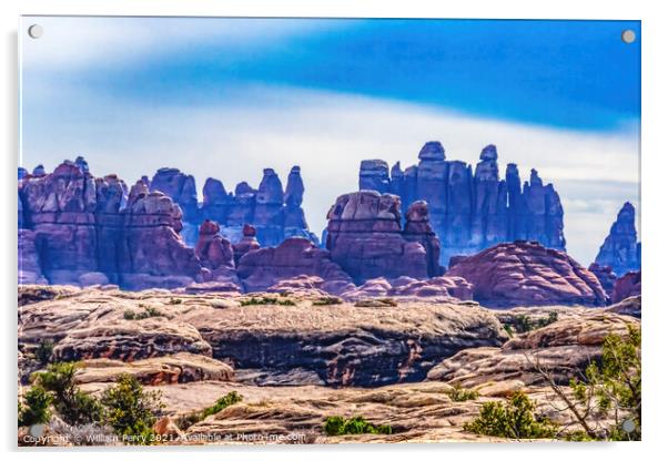 Sandstone Spires Canyonlands Needles District Utah Acrylic by William Perry