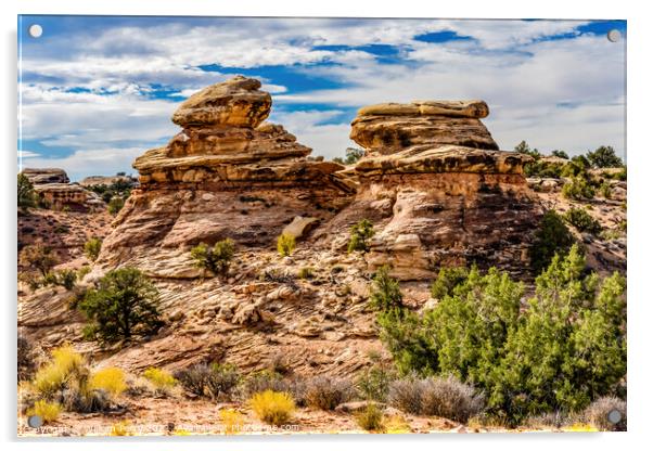 Rock Fromations Near Shoe Arch Canyonlands Needles Utah Acrylic by William Perry