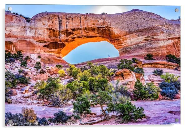 Wilson Arch Rock Canyon Moab Utah  Acrylic by William Perry