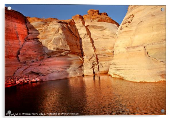 Orange Pink Antelope Canyon Reflection Lake Powell Arizona Acrylic by William Perry