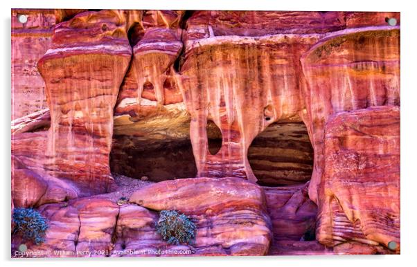 Rose Red Rock Tombs Street of Facades Petra Jordan  Acrylic by William Perry