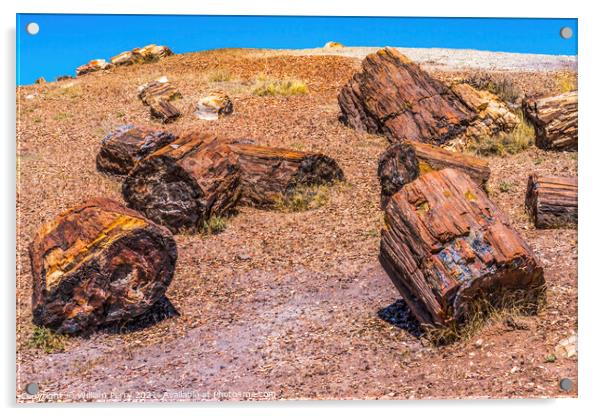 Petrified Wood Rock Logs National Park Arizona Acrylic by William Perry