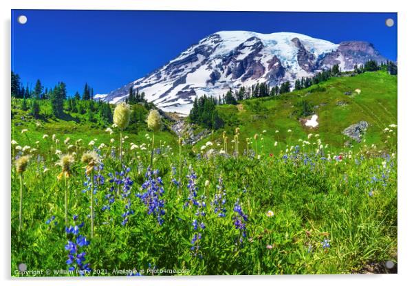 Bistort Lupine Wildflowers Paradise Mount Rainier National Park  Acrylic by William Perry