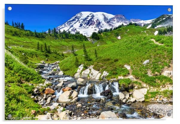 Wildflowers Edith Creek Paradise Mount Rainier National Park Was Acrylic by William Perry