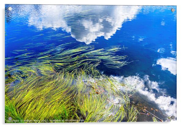 Picture Lake Reeds Clouds Reflection Washington USA Acrylic by William Perry