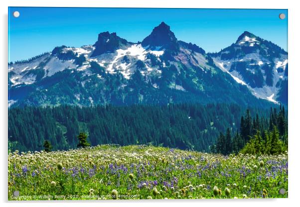 Wildflowers Tatoosh Range Paradise Mount Rainier National Park W Acrylic by William Perry