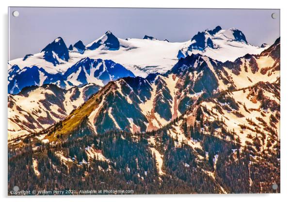 Mount Olympus Snow Mountains Hurricane Ridge Olympic National Pa Acrylic by William Perry