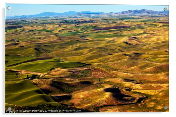 Yellow Green Wheat Fields and Farms from Steptoe Butte Palouse W Acrylic by William Perry