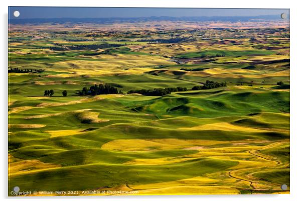 Yellow Green Wheat Fields and Farms from Steptoe Butte Palouse W Acrylic by William Perry