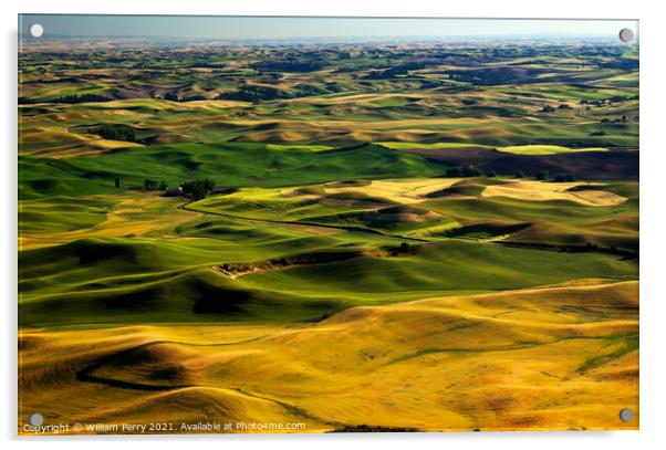 Yellow Green Wheat Fields and Farms from Steptoe Butte Palouse W Acrylic by William Perry